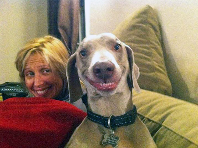 Funny Animals Acting Like Their Owners (10 Pics)