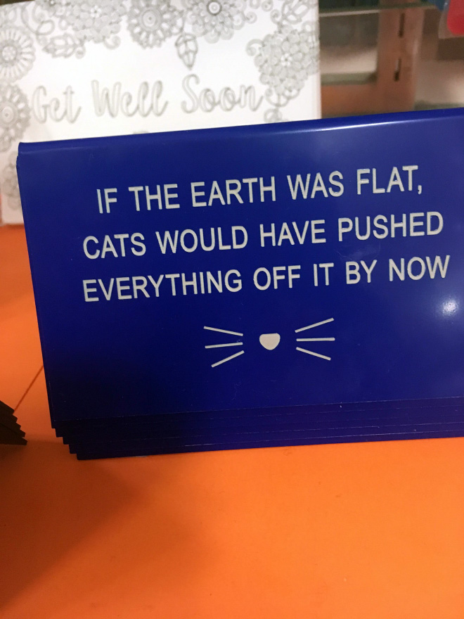 If the Earth was flat cats would have pushed everything off by now.