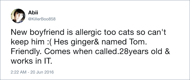 New boyfriend is allergic too cats so can't keep him :( Hes ginger& named Tom. Friendly. Comes when called.28years old & works in IT.