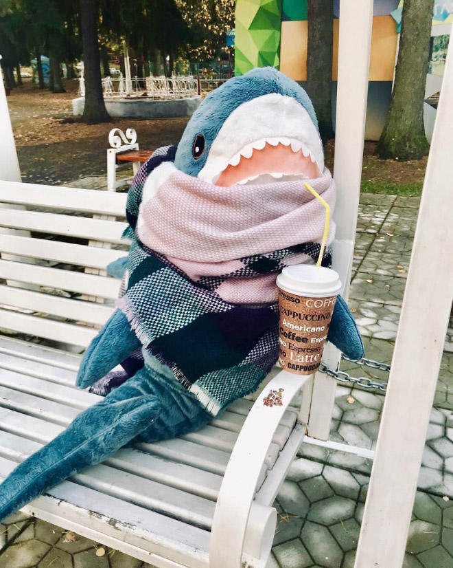 Shark enjoying some coffee.