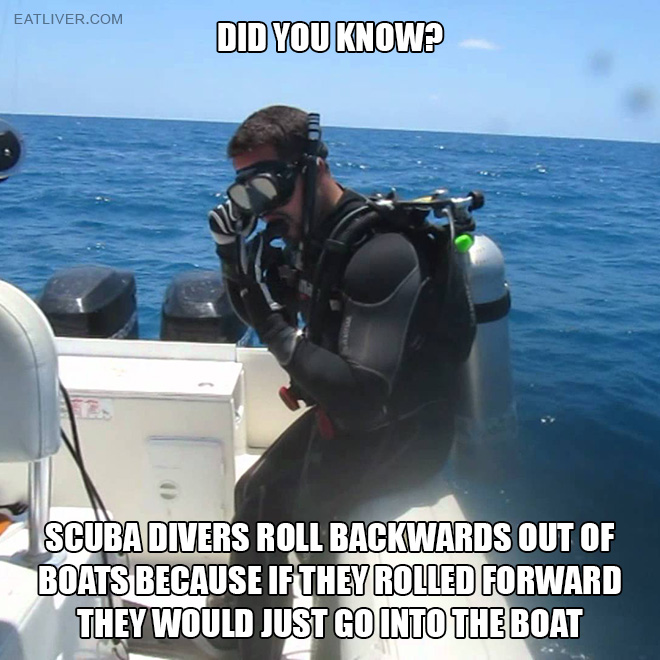Scuba divers roll backwards out of boats because if they rolled forward they would just go into the boat.