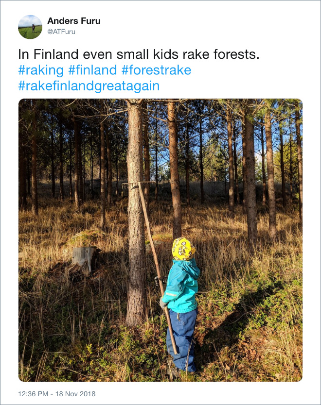 Even kids are raking forests in Finland.