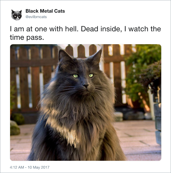 Black metal cat watches the time pass.