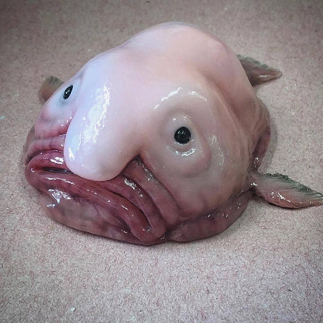 Awkward deep sea creature.