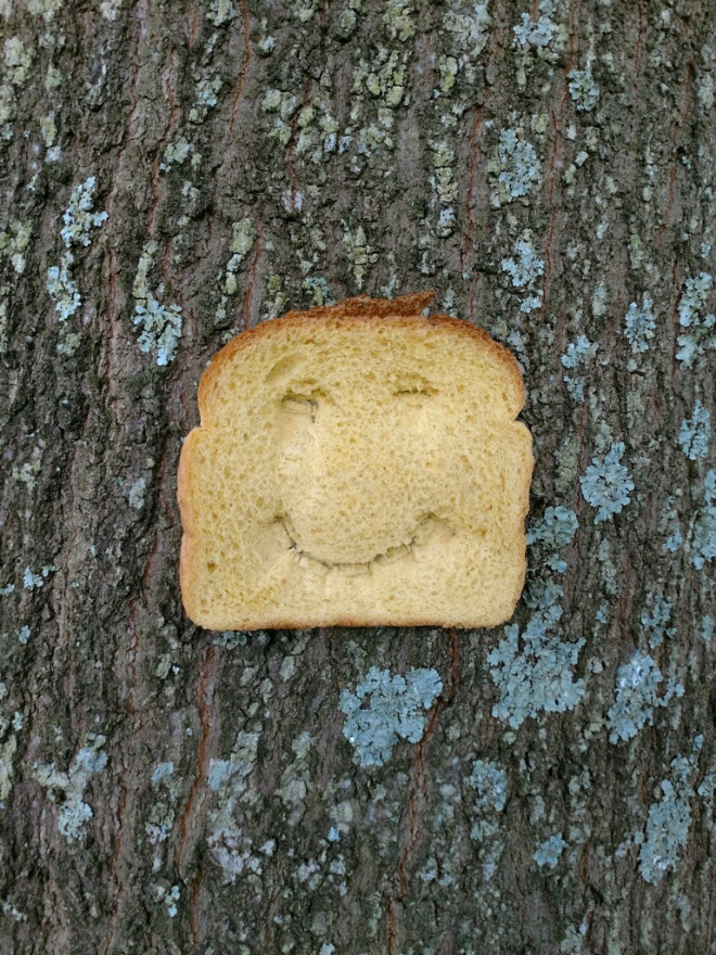 Smiling bread stapled to a tree.