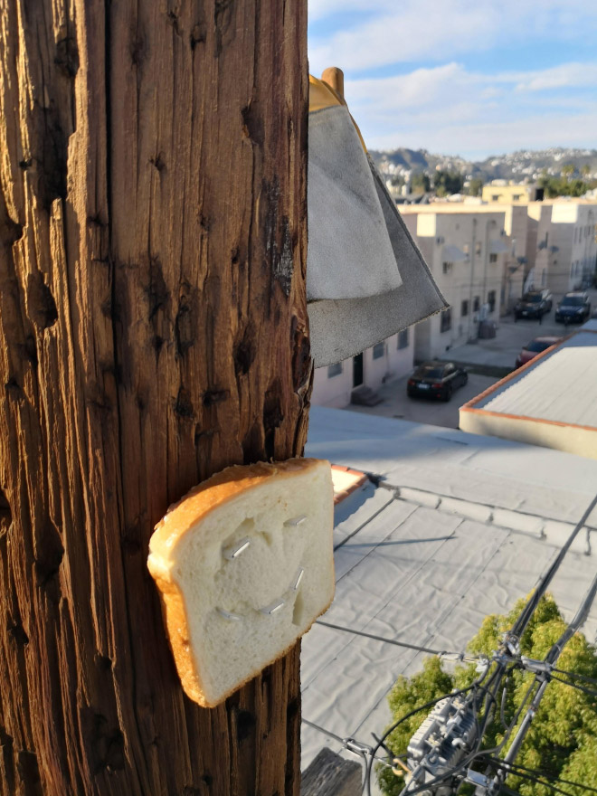 Smiling bread slice stapled to a tree.