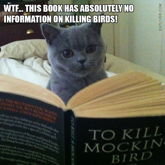 WTF... This book has absolutely no information on killing birds!