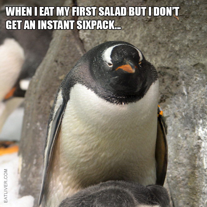 When I eat my first salad but I don't get an instant sixpack...