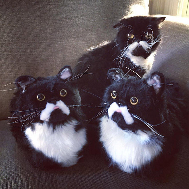 Cat posing with slippers that look just like him.