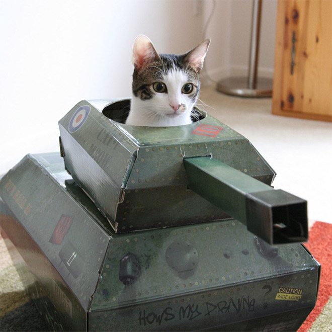 cat illustration military tank