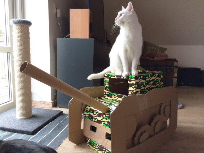 Cat standing on his tank.