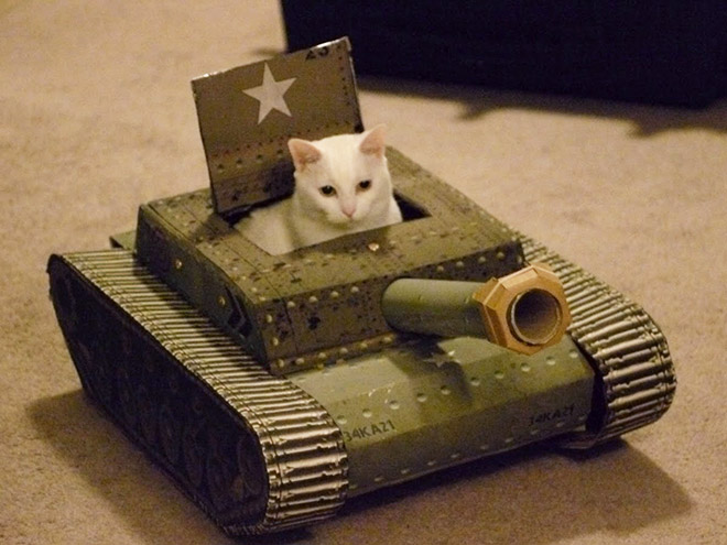 Cat tank army commander.