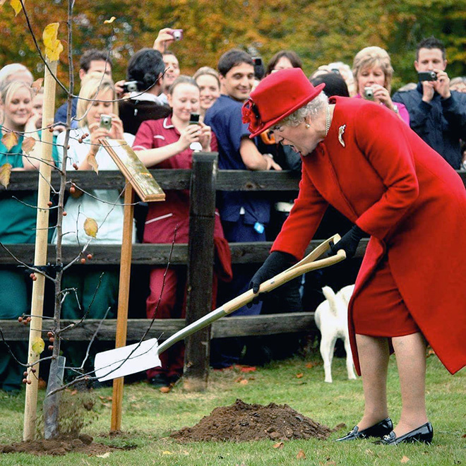 Donald Trump photoshopped as Queen of England.