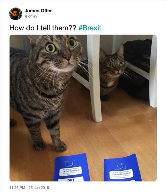 One of the funniest Brexit tweets.