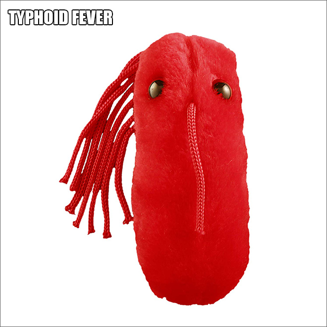 Cute disease plush toy.