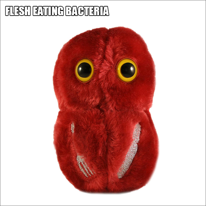 Cute disease plush toy.