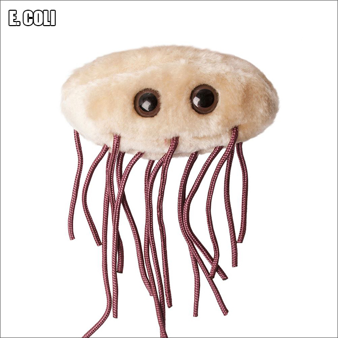 Cute disease plush toy.