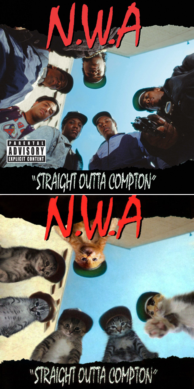 Iconic album cover improved with kittens.