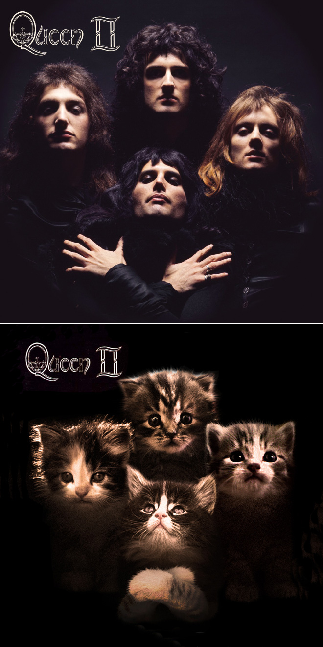 Iconic album cover improved with kittens.