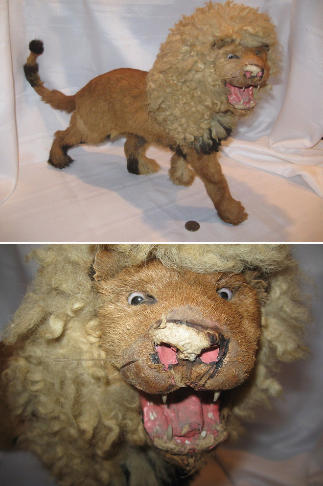 Derpy taxidermy fail.