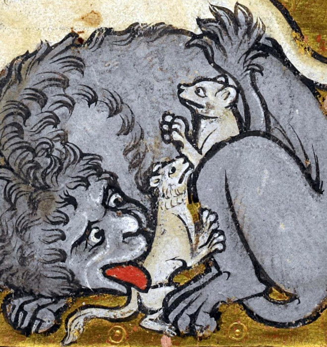Medieval painting of cat licking his own butt.