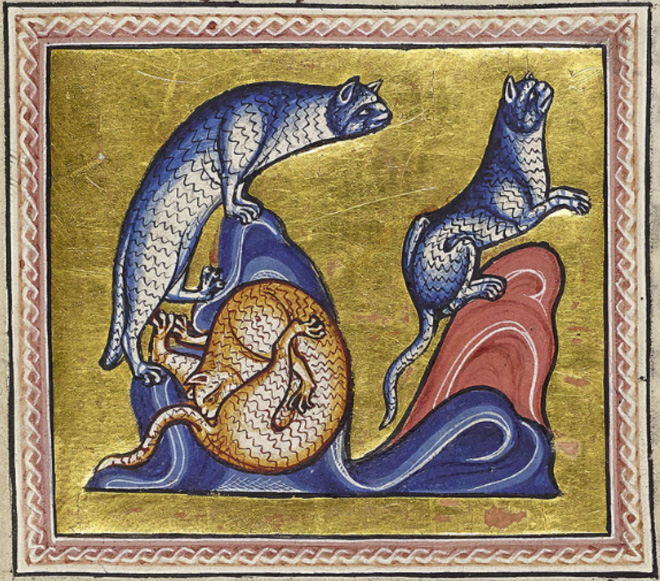 Medieval painting of cat licking his own butt.