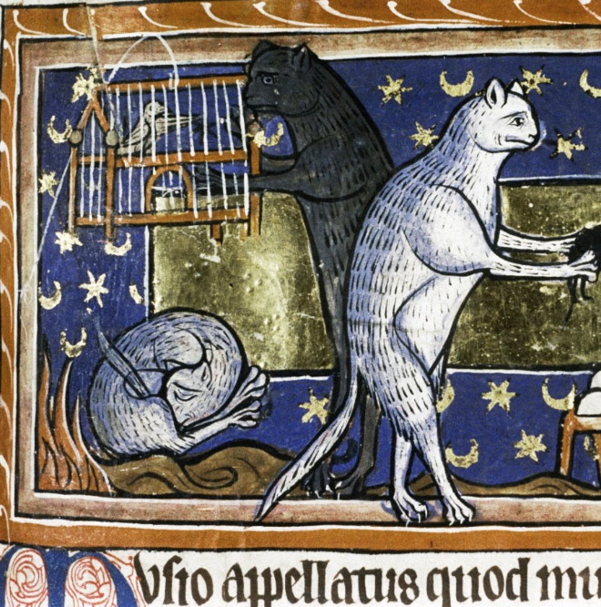 Medieval painting of cat licking his own butt.