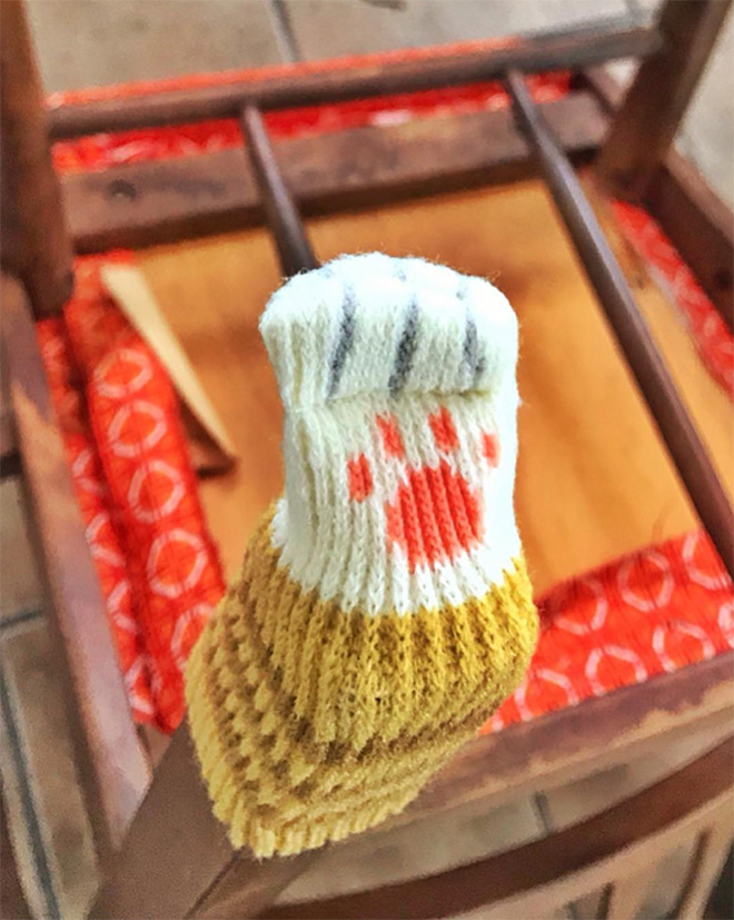 Cat paw chair socks.