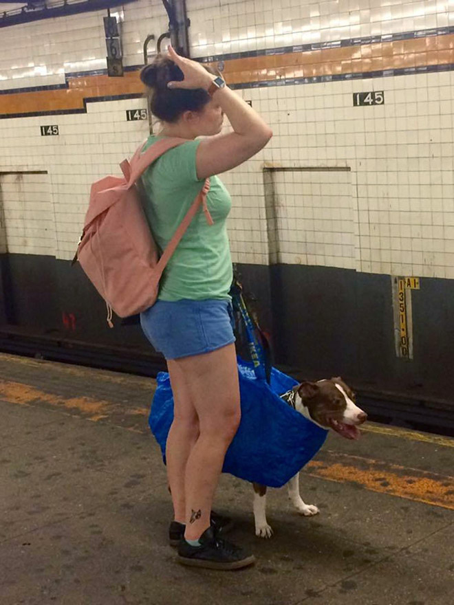 The things you see on subway...