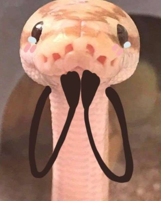 Snake with doodle arms.