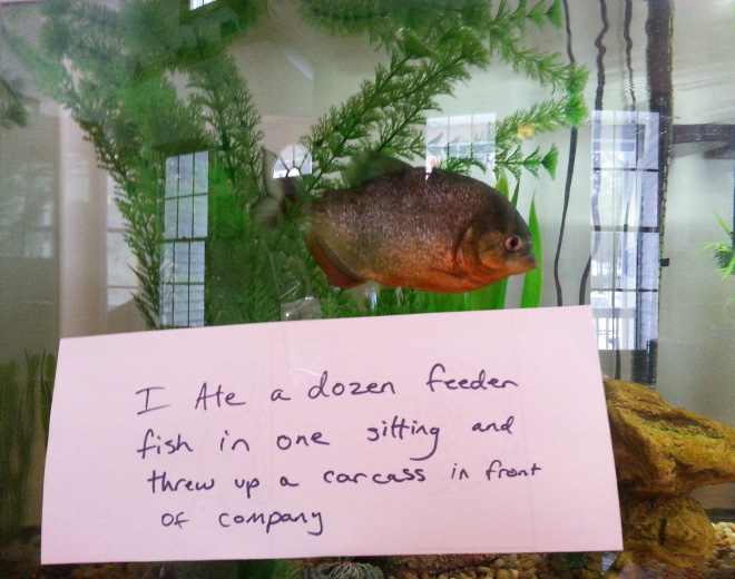 Fish shaming.