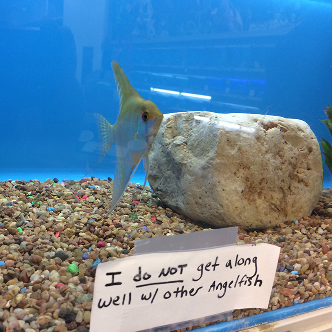 Fish shaming.