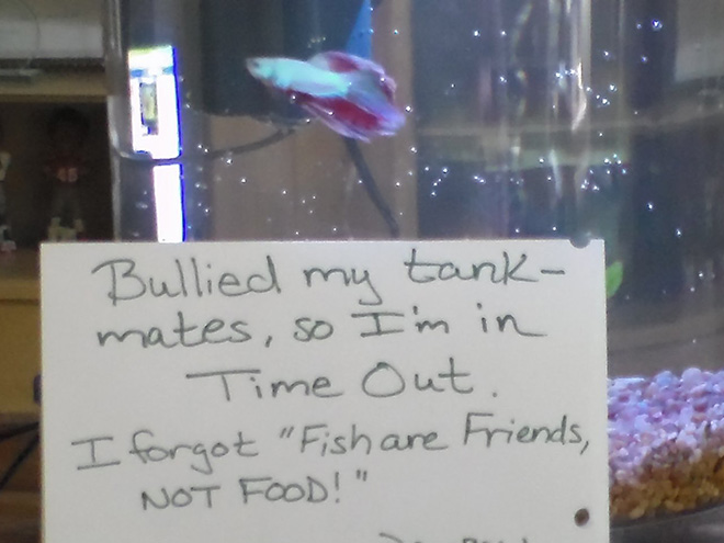 Fish shaming.