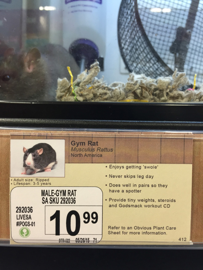 Funny pet store animal description.