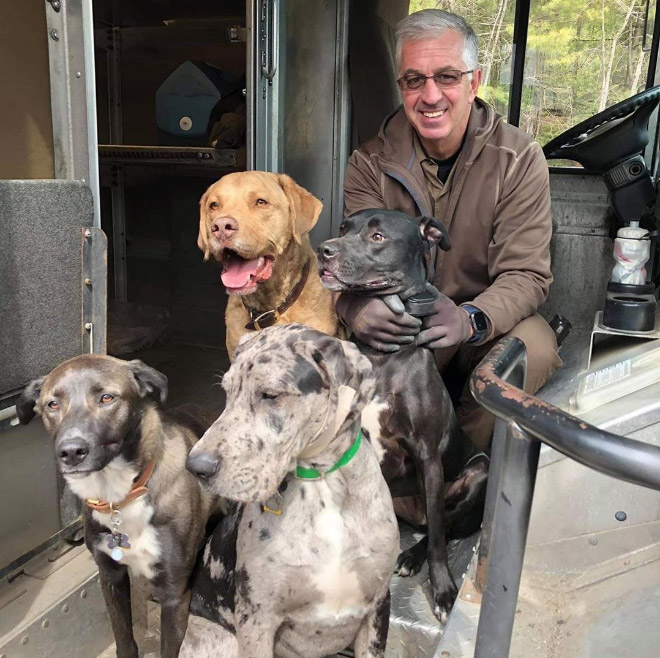 UPS drivers sometimes meet dogs along their daily route...