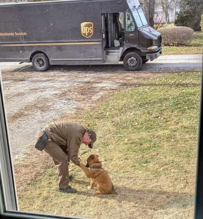 UPS drivers sometimes meet dogs along their daily route.