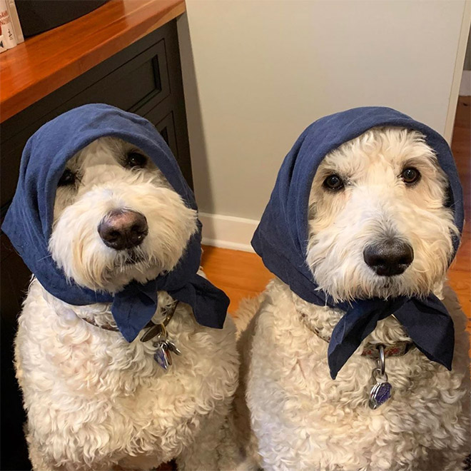 Babushkas.