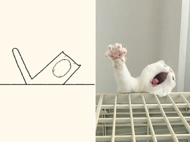 Very accurate drawing of a cat.