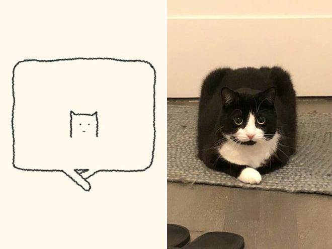 Very accurate drawing of a cat.