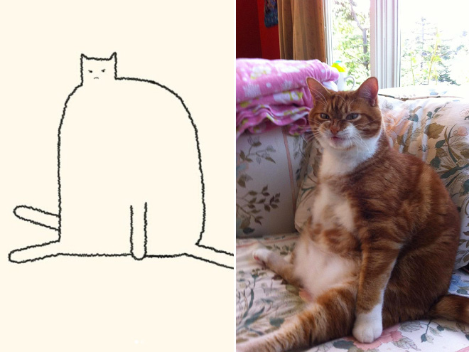 Very accurate drawing of a cat.