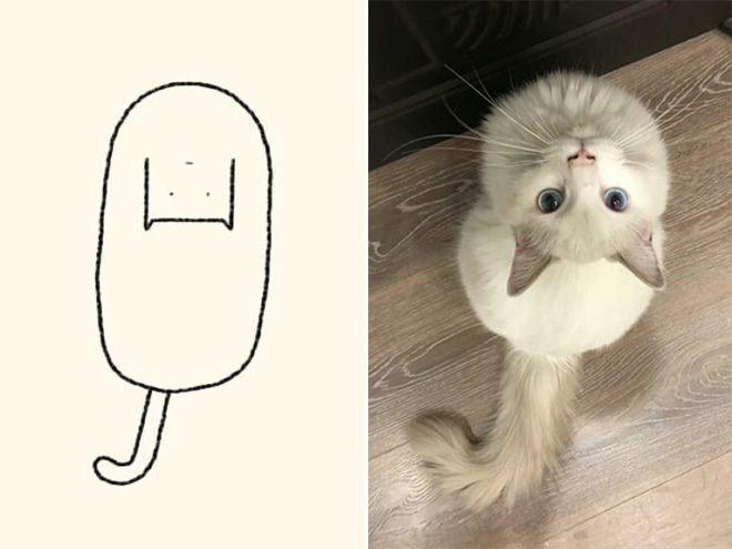 Very accurate drawing of a cat.