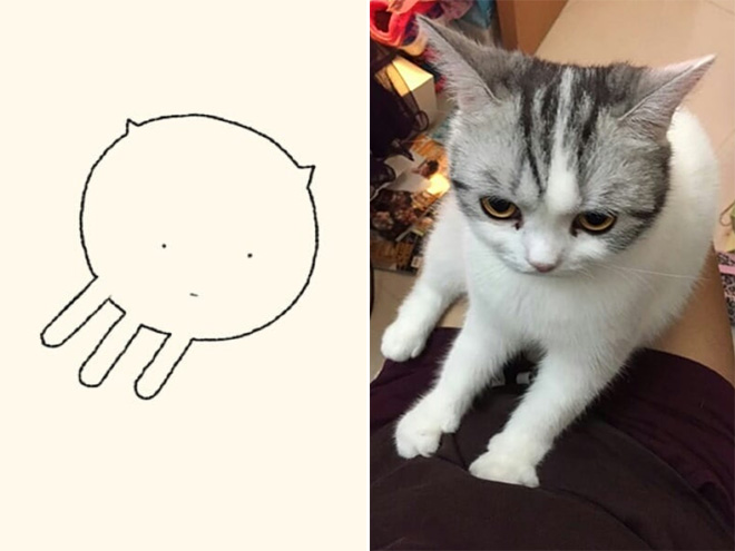 Very accurate drawing of a cat.