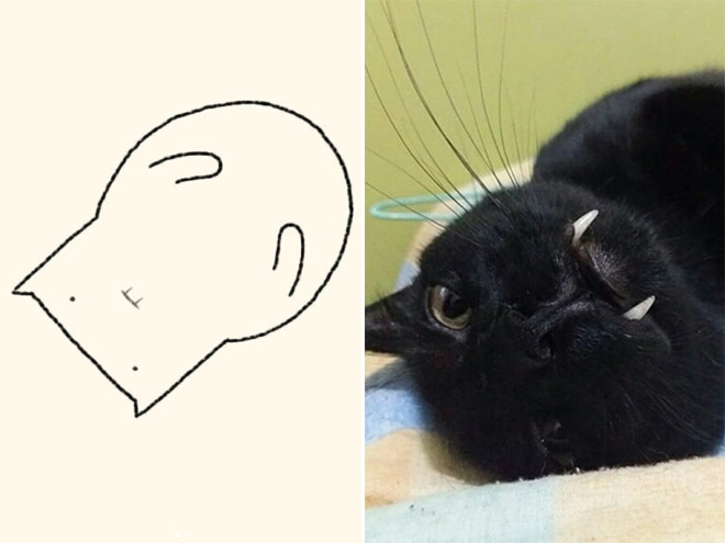 Very accurate drawing of a cat.