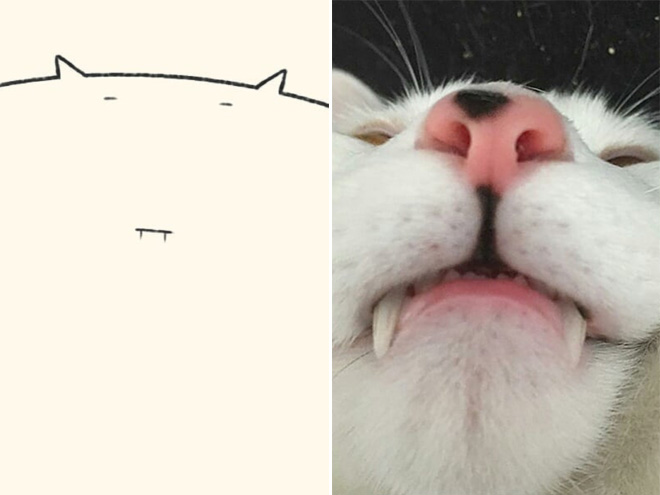 Very accurate drawing of a cat.