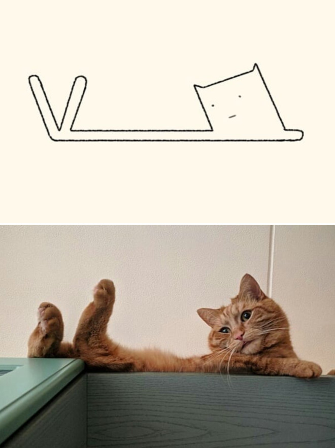 Very accurate drawing of a cat.