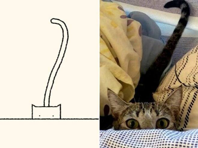 Very accurate drawing of a cat.