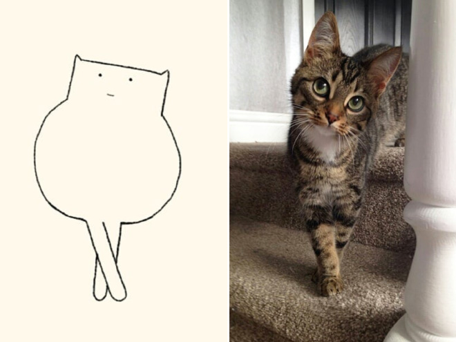 Very accurate drawing of a cat.