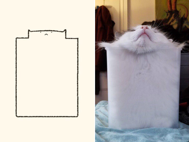 Very accurate drawing of a cat.