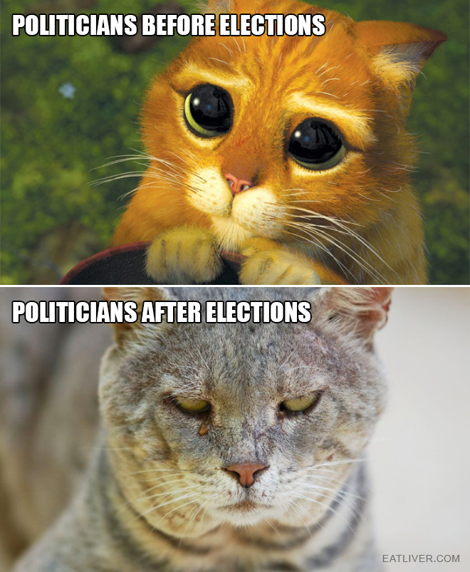 Before elections vs. after elections.