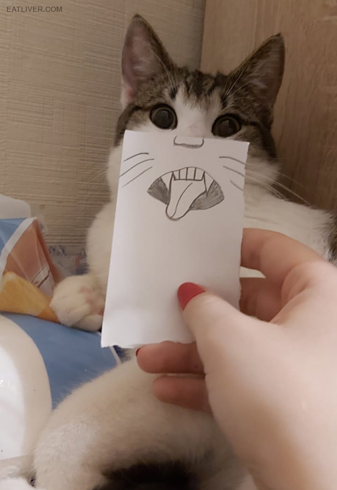 Cats with cartoon mouths are the best cats.